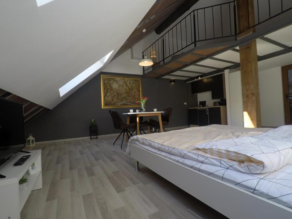 Savoya Nr2 Loft Studio Old City Center Self Check-In Workspace Timişoara Extérieur photo