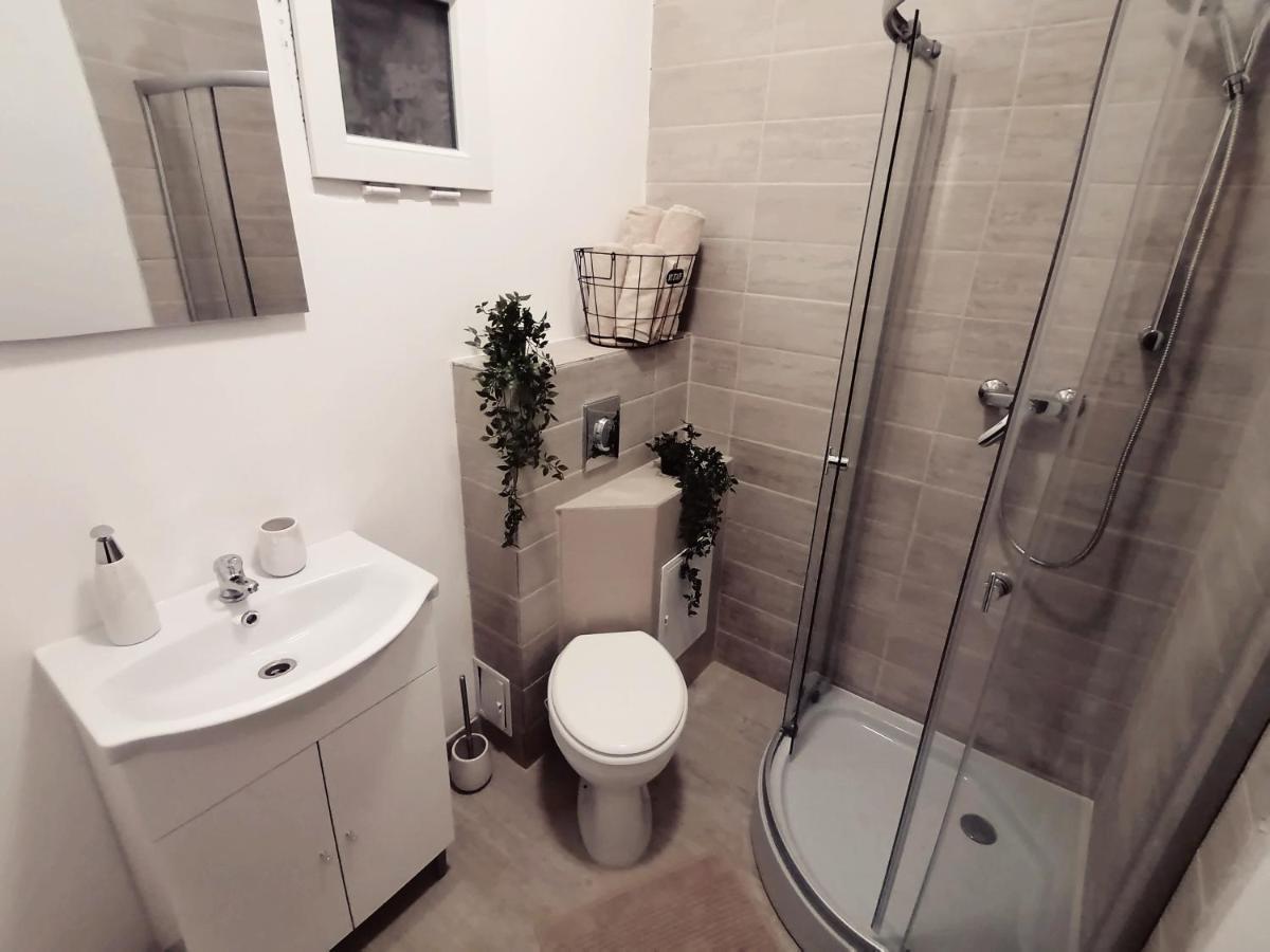 Savoya Nr2 Loft Studio Old City Center Self Check-In Workspace Timişoara Extérieur photo