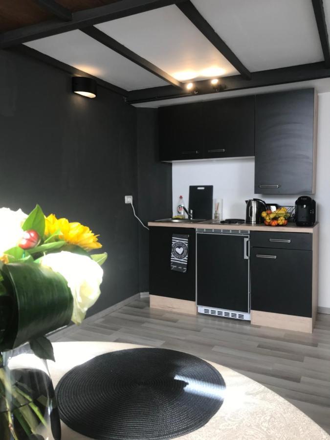 Savoya Nr2 Loft Studio Old City Center Self Check-In Workspace Timişoara Extérieur photo