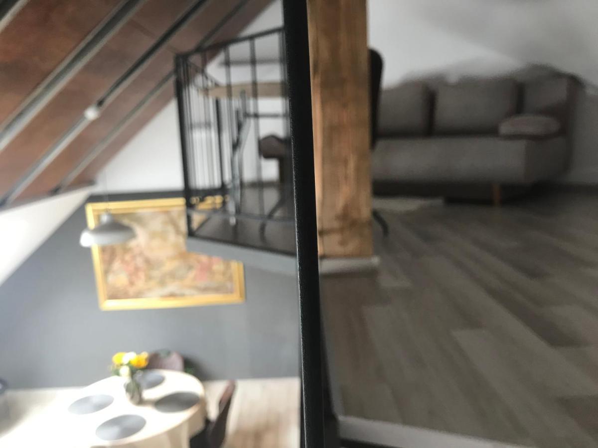 Savoya Nr2 Loft Studio Old City Center Self Check-In Workspace Timişoara Extérieur photo